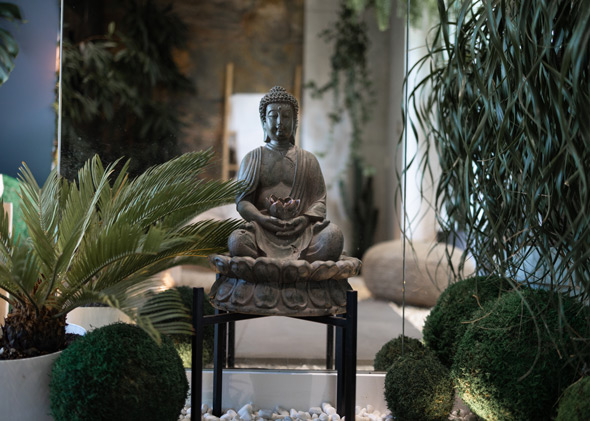 Buddha statue with floor plants