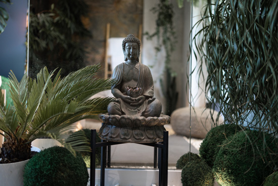 Buddha statue with floor plants